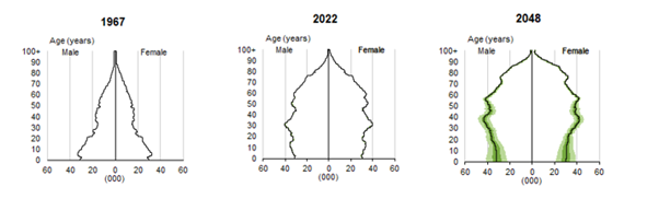 Population pyramid